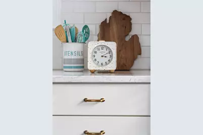 1209 Birk Avenue, Ann Arbor, MI 48103 - Photo 31