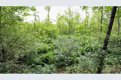 Vl Mud Lake Rd, Bellevue, MI 49021 - Photo 35