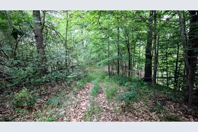 Vl Mud Lake Rd, Bellevue, MI 49021 - Photo 31