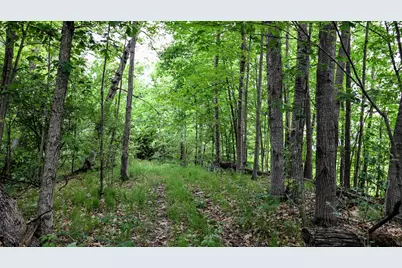Vl Mud Lake Rd, Bellevue, MI 49021 - Photo 29