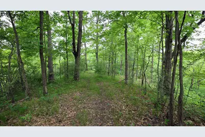 Vl Mud Lake Rd, Bellevue, MI 49021 - Photo 37