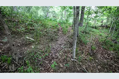 Vl Mud Lake Rd, Bellevue, MI 49021 - Photo 11