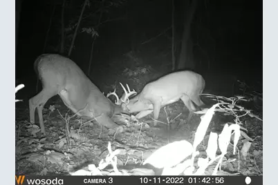 Vl Mud Lake Rd, Bellevue, MI 49021 - Photo 5