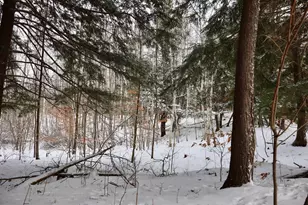 6182 Hamilton Rd, Harrison, MI 48625 - Photo 39