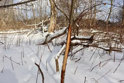 6182 Hamilton Road, Harrison, MI 48625 - Photo 5