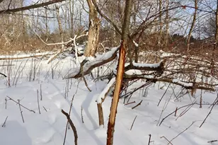 6182 Hamilton Rd, Harrison, MI 48625 - Photo 5