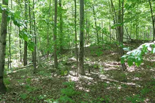6182 Hamilton Rd, Harrison, MI 48625 - Photo 45
