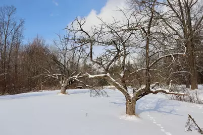 6182 Hamilton Road, Harrison, MI 48625 - Photo 19