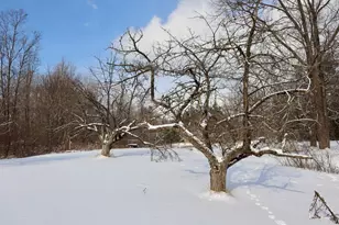 6182 Hamilton Rd, Harrison, MI 48625 - Photo 19