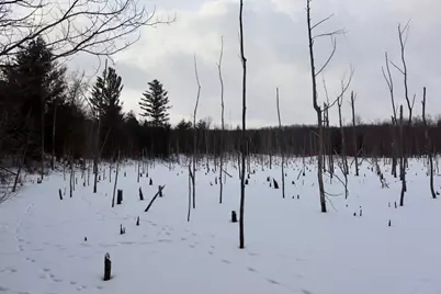 6182 Hamilton Road, Harrison, MI 48625 - Photo 41