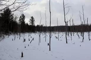 6182 Hamilton Rd, Harrison, MI 48625 - Photo 41