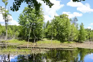6182 Hamilton Rd, Harrison, MI 48625 - Photo 23