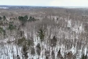 6182 Hamilton Rd, Harrison, MI 48625 - Photo 11