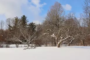 6182 Hamilton Rd, Harrison, MI 48625 - Photo 9