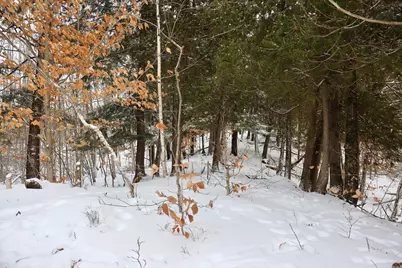 6182 Hamilton Road, Harrison, MI 48625 - Photo 15