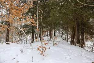 6182 Hamilton Rd, Harrison, MI 48625 - Photo 15