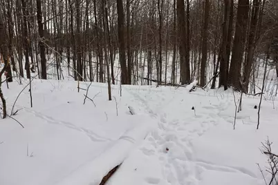 6182 Hamilton Road, Harrison, MI 48625 - Photo 31