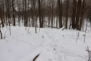 6182 Hamilton Rd, Harrison, MI 48625 - Photo 31