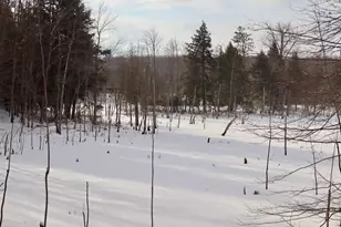 6182 Hamilton Rd, Harrison, MI 48625 - Photo 33