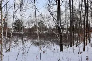 6182 Hamilton Rd, Harrison, MI 48625 - Photo 47