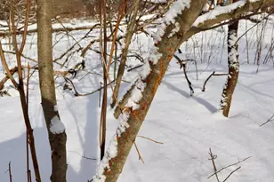 6182 Hamilton Rd, Harrison, MI 48625 - Photo 23