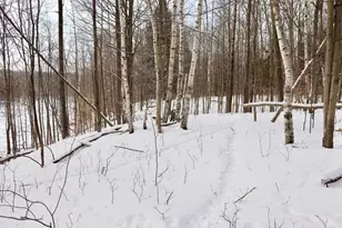 6182 Hamilton Rd, Harrison, MI 48625 - Photo 7