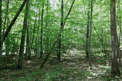 6182 Hamilton Road, Harrison, MI 48625 - Photo 37