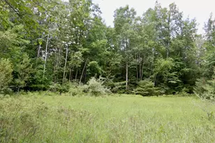 6182 Hamilton Rd, Harrison, MI 48625 - Photo 35
