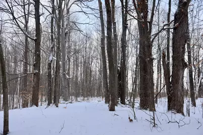 6182 Hamilton Road, Harrison, MI 48625 - Photo 45