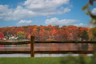 2772 Tim Ave, Brighton, MI 48114 - Photo 47