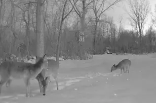 8516 Warner St, Allendale, MI 49401 - Photo 41