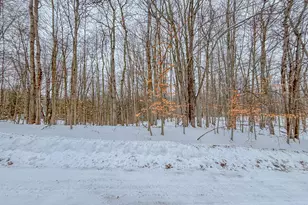 12329 Wagon Wheel Trail, Canadian Lakes, MI 49346 - Photo 1