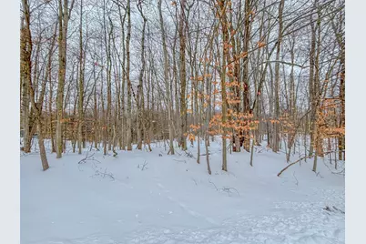 12329 Wagon Wheel Trail #387, Canadian Lakes, MI 49346 - Photo 7