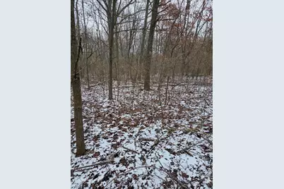 V/L Bronson Avenue, Plainwell, MI 49080 - Photo 25