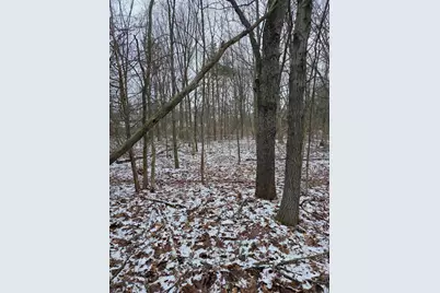 V/L Bronson Avenue, Plainwell, MI 49080 - Photo 27