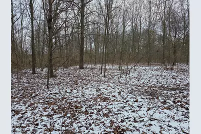 V/L Bronson Avenue, Plainwell, MI 49080 - Photo 15