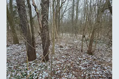 V/L Bronson Avenue, Plainwell, MI 49080 - Photo 9