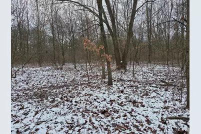 V/L Bronson Avenue, Plainwell, MI 49080 - Photo 17