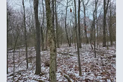 V/L Bronson Avenue, Plainwell, MI 49080 - Photo 31