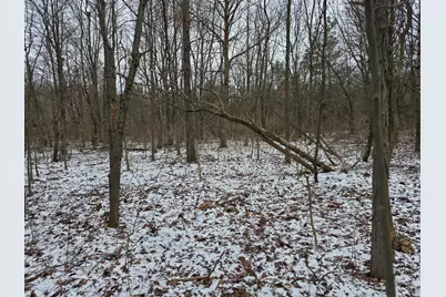 V/L Bronson Avenue, Plainwell, MI 49080 - Photo 13