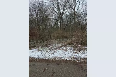 V/L Bronson Avenue, Plainwell, MI 49080 - Photo 5