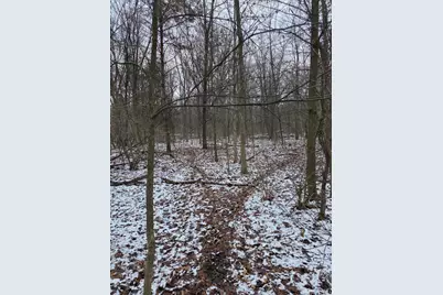 V/L Bronson Avenue, Plainwell, MI 49080 - Photo 33