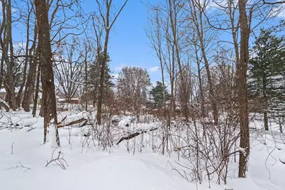 V/L Guernsey Lake Road, Delton, MI 49046 - Photo 5