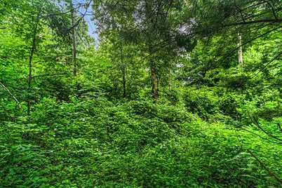 V/L Guernsey Lake Road, Delton, MI 49046 - Photo 15