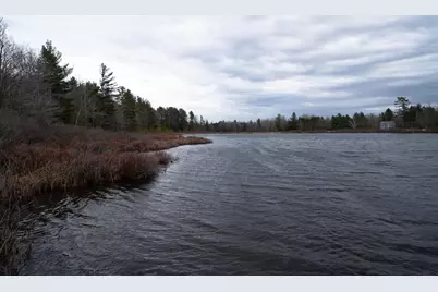 V/L 67A E Old M-63, Luther, MI 49656 - Photo 9