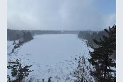 V/L 67A E Old M-63, Luther, MI 49656 - Photo 21