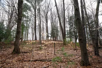 V/L 67A E Old M-63, Luther, MI 49656 - Photo 13