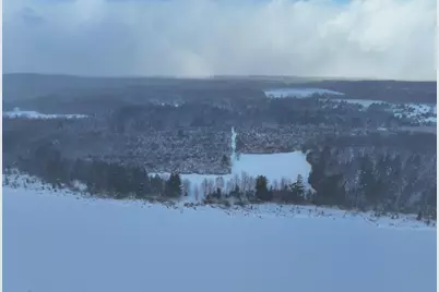 V/L 67A E Old M-63, Luther, MI 49656 - Photo 27