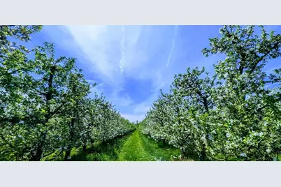 7737 Fruit Ridge Avenue NW, Sparta, MI 49345 - Photo 47