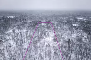 1518 E Wilke Rd, Rothbury, MI 49452 - Photo 37